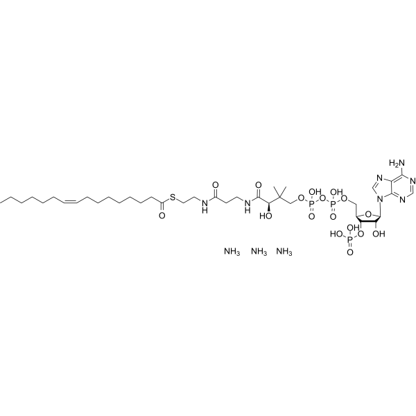 Palmitoleoyl-CoA triammonium 1246304-41-5